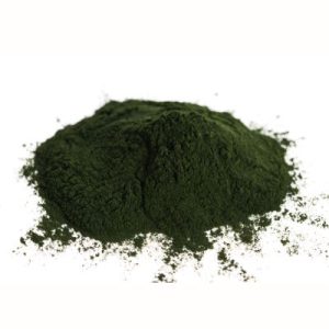 Chlorella