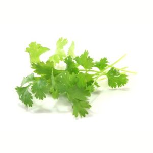 Coriander