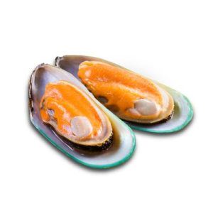 PERNA CANALICULUS