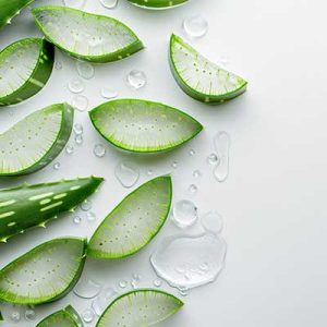 aloe_vera