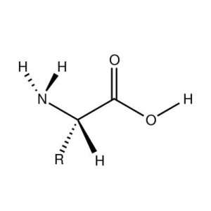 amino_acid amino_acid