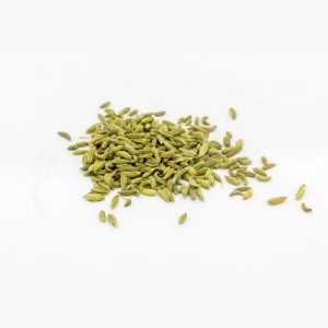 fennel-