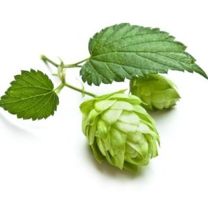 hops