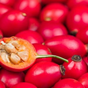Close-up of rosehip cross-section in ripe brier berries heap on blur background. Briar plant berries. Health prevention and protection