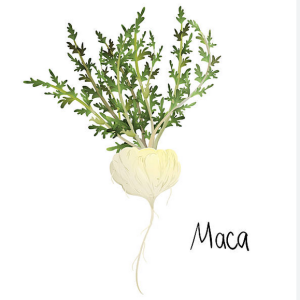 maca